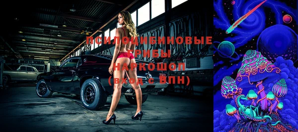 стафф Баксан