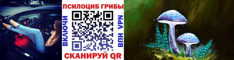 darknet телеграм  Сердобск  Псилоцибиновые грибы Psilocybe 